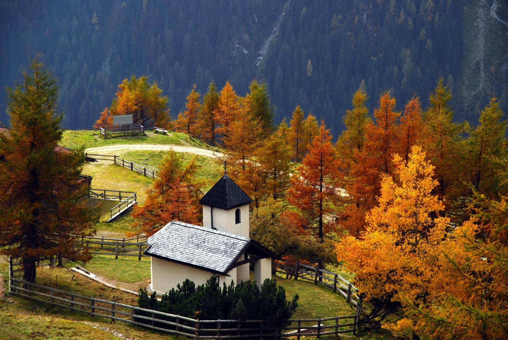 Hotel Garni Forelle Тукс Экстерьер фото